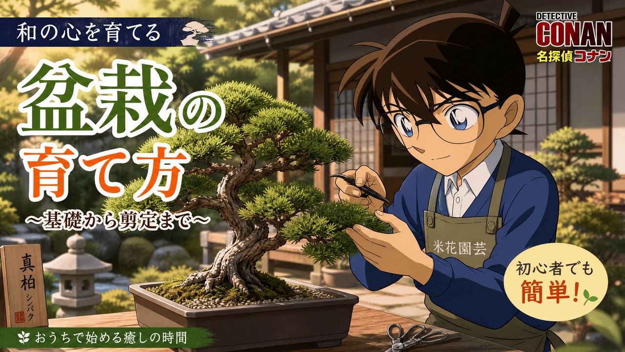 海角海角-盆栽海角教程 | 从入门到精通完整视频演示